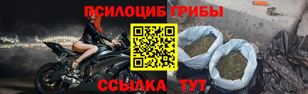 Псилоцибиновые грибы мицелий  Вход с VPN  Псилоцибиновые грибы прущие грибы  Среднеуральск 